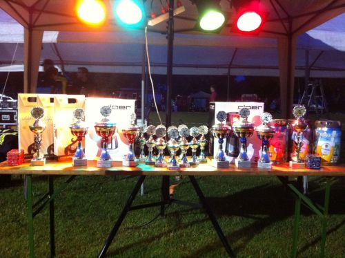 Freiwillige Feuerwehr Sedlitz