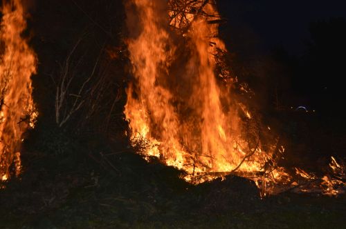 Freiwillige Feuerwehr Sedlitz