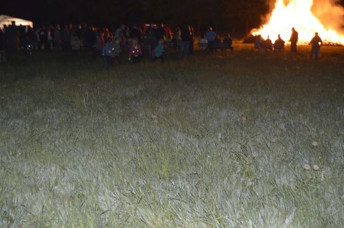 Freiwillige Feuerwehr Sedlitz