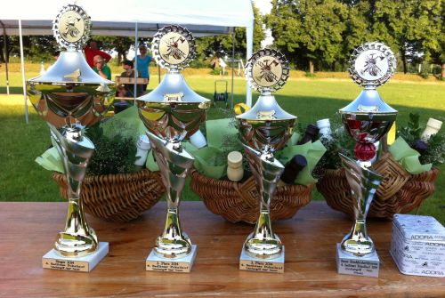 Freiwillige Feuerwehr Sedlitz