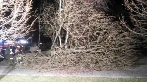 Freiwillige Feuerwehr Sedlitz