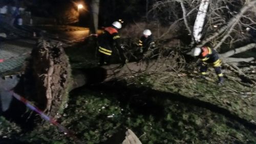 Freiwillige Feuerwehr Sedlitz