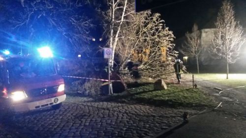 Freiwillige Feuerwehr Sedlitz