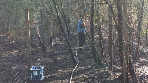 Freiwillige Feuerwehr Sedlitz