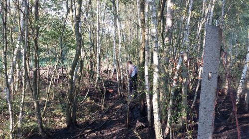 Freiwillige Feuerwehr Sedlitz