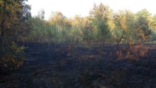 Freiwillige Feuerwehr Sedlitz