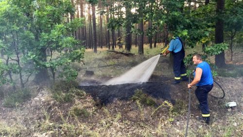 Freiwillige Feuerwehr Sedlitz