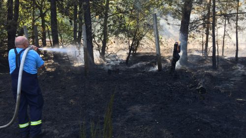 Freiwillige Feuerwehr Sedlitz