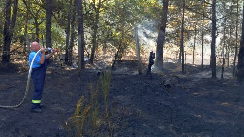 Freiwillige Feuerwehr Sedlitz