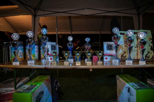 Freiwillige Feuerwehr Sedlitz