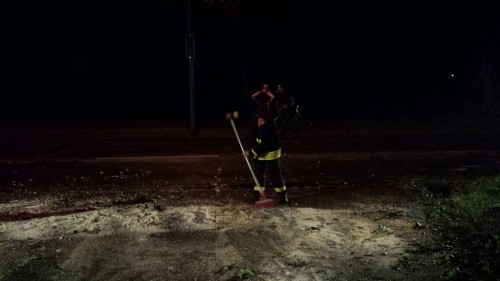 Freiwillige Feuerwehr Sedlitz