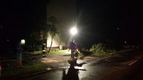 Freiwillige Feuerwehr Sedlitz