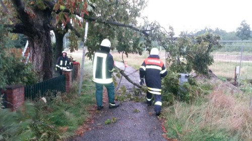 Freiwillige Feuerwehr Sedlitz