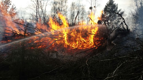 Freiwillige Feuerwehr Sedlitz