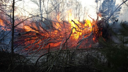 Freiwillige Feuerwehr Sedlitz