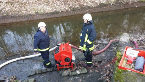 Freiwillige Feuerwehr Sedlitz