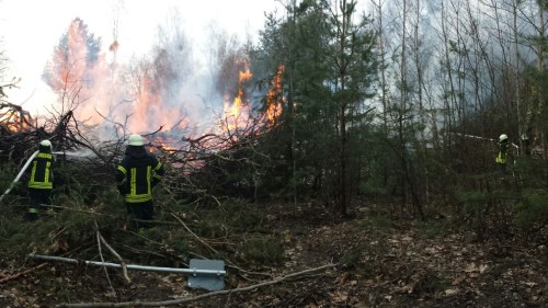 Freiwillige Feuerwehr Sedlitz
