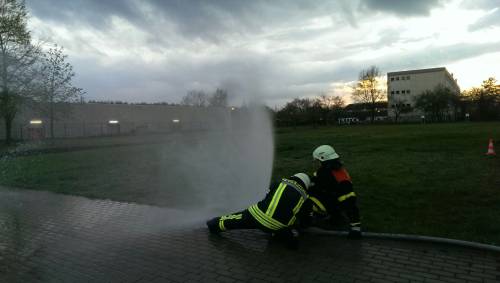 Freiwillige Feuerwehr Sedlitz