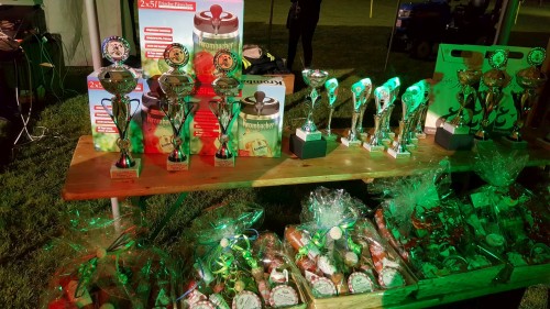 Freiwillige Feuerwehr Sedlitz