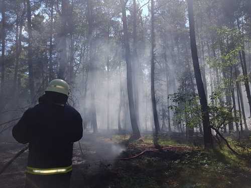 Freiwillige Feuerwehr Sedlitz