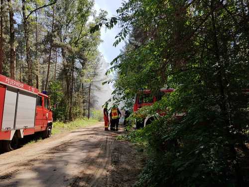 Freiwillige Feuerwehr Sedlitz