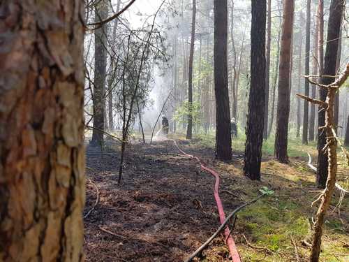 Freiwillige Feuerwehr Sedlitz