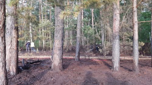 Freiwillige Feuerwehr Sedlitz