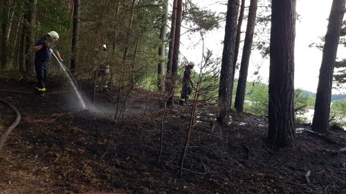 Freiwillige Feuerwehr Sedlitz