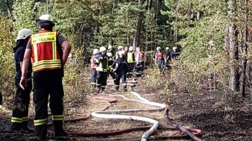 Freiwillige Feuerwehr Sedlitz