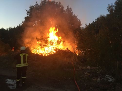 Freiwillige Feuerwehr Sedlitz