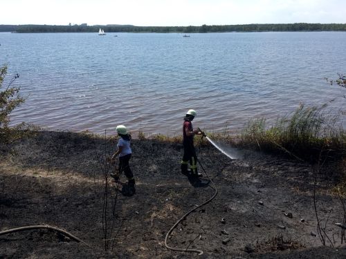 Freiwillige Feuerwehr Sedlitz