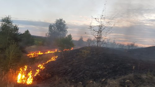 Freiwillige Feuerwehr Sedlitz