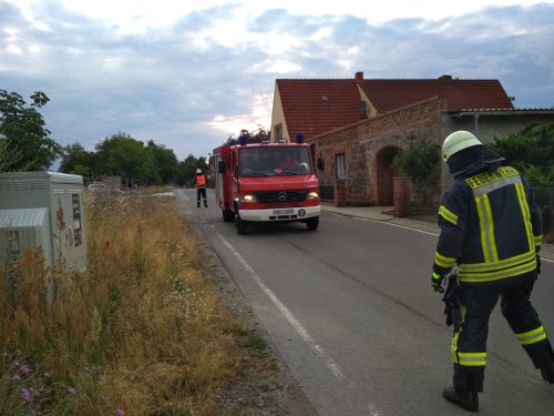 Freiwillige Feuerwehr Sedlitz