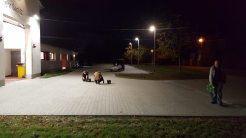 Freiwillige Feuerwehr Sedlitz