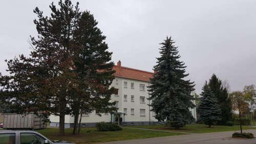 Freiwillige Feuerwehr Sedlitz