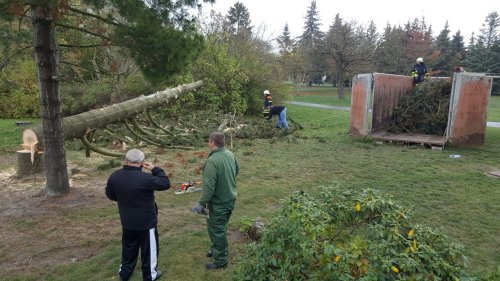 Freiwillige Feuerwehr Sedlitz