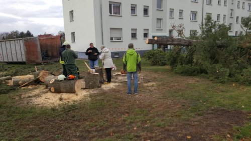 Freiwillige Feuerwehr Sedlitz