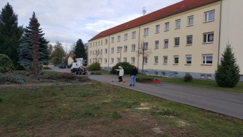 Freiwillige Feuerwehr Sedlitz