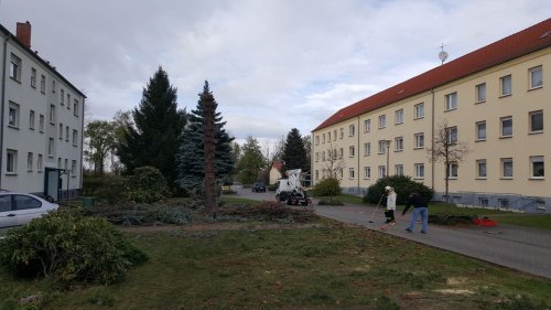 Freiwillige Feuerwehr Sedlitz