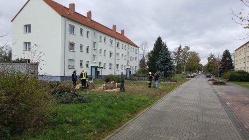 Freiwillige Feuerwehr Sedlitz