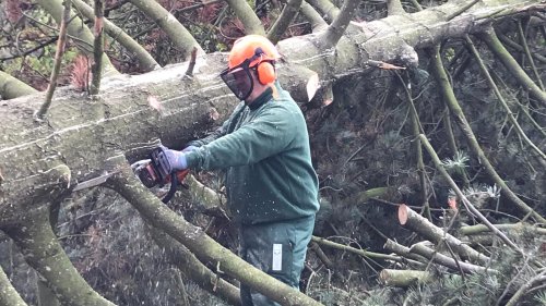 Freiwillige Feuerwehr Sedlitz