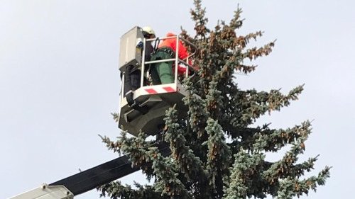 Freiwillige Feuerwehr Sedlitz