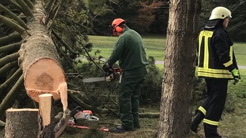 Freiwillige Feuerwehr Sedlitz