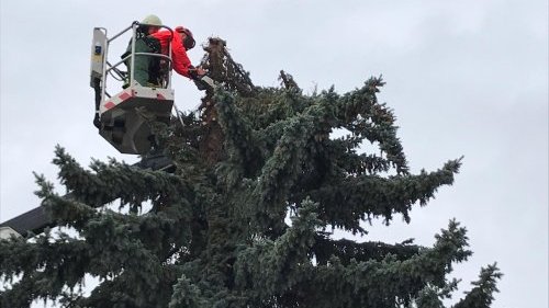 Freiwillige Feuerwehr Sedlitz