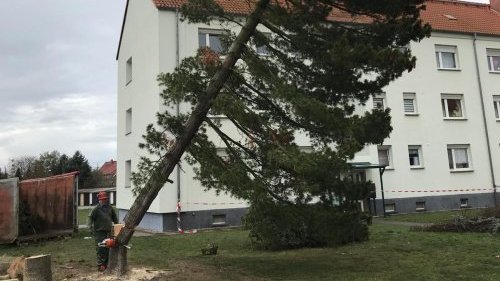 Freiwillige Feuerwehr Sedlitz