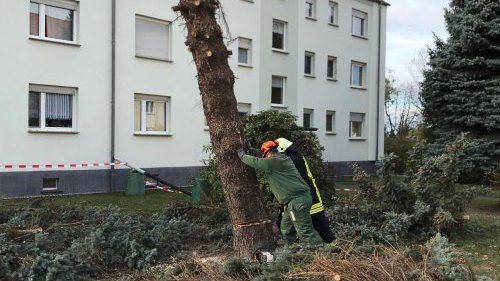 Freiwillige Feuerwehr Sedlitz