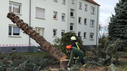Freiwillige Feuerwehr Sedlitz
