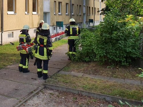 Freiwillige Feuerwehr Sedlitz