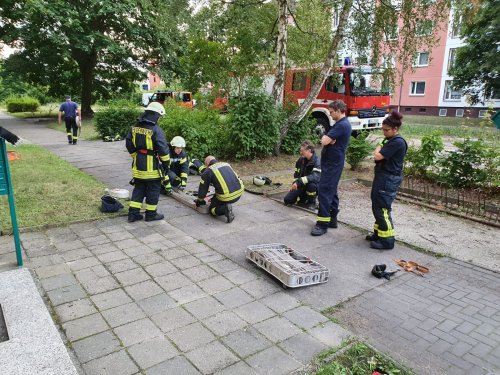 Freiwillige Feuerwehr Sedlitz