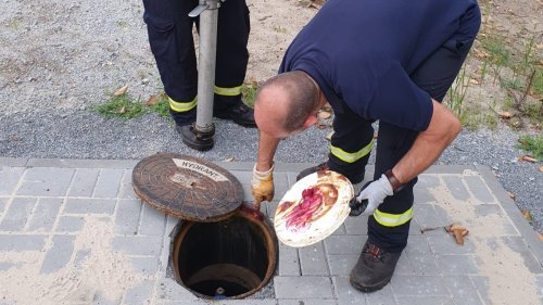 Freiwillige Feuerwehr Sedlitz